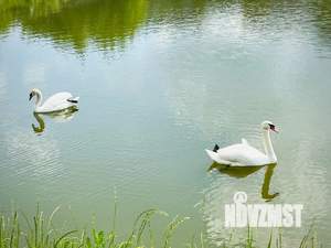 Дом 462м², 1-этажный, посуточно,