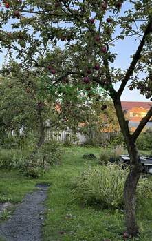 Дом 42м², 1-этажный, участок 8 сот.