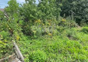 Дом 45м², 1-этажный, участок 0 сот.