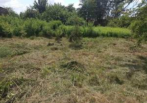 Дом 39м², 1-этажный, участок 12 сот.