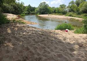 Дом 39м², 1-этажный, участок 12 сот.