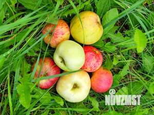 Дом 34м², 2-этажный, участок 7 сот.