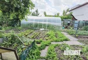 Дом 65м², 1-этажный, участок 6 сот.