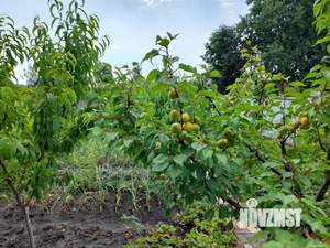 Дом 98м², 2-этажный, участок 4 сот.