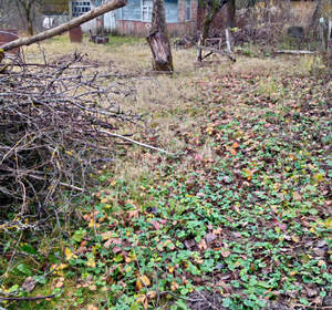 Дом 23м², 1-этажный, участок 4 сот.