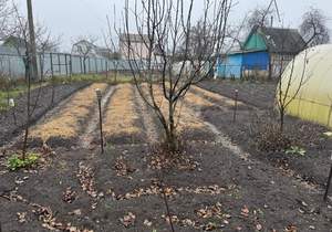 Дом 24м², 2-этажный, участок 6 сот.