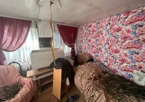 Дом 22м², 2-этажный, участок 4 сот.