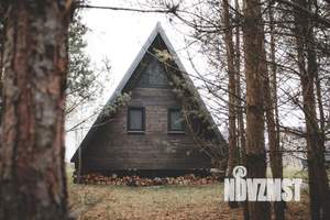 Дом 48м&sup2;, 1-этажный, посуточно, 