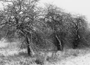 Дом 10м&sup2;, 2-этажный, участок 10 сот.  