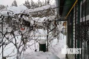 Дом 58м&sup2;, 2-этажный, участок 7 сот.  