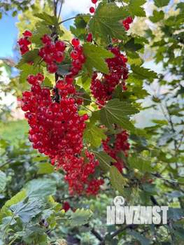 Дом 25м&sup2;, 1-этажный, участок 6 сот.  