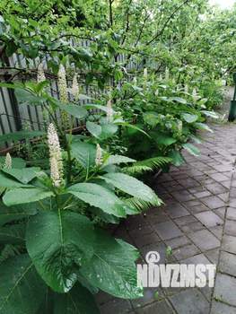 Дом 100м&sup2;, 2-этажный, участок 6 сот.  