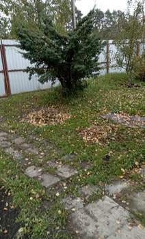 Дом 26м&sup2;, 1-этажный, участок 691 сот.  