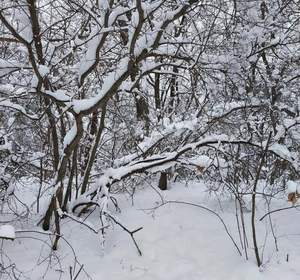 Дом 10м&sup2;, 2-этажный, участок 10 сот.  