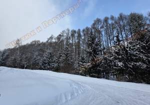 Дом 255м&sup2;, 2-этажный, участок 10 сот.  