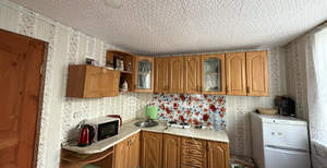 Дом 49м&sup2;, 2-этажный, участок 6 сот.  