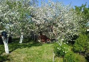 Дом 25м&sup2;, 2-этажный, участок 6 сот.  