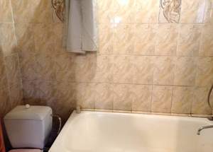 Дом 58м&sup2;, 1-этажный, участок 246 сот.  