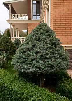 Дом 460м&sup2;, 3-этажный, участок 22 сот.  