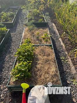 Дом 25м&sup2;, 1-этажный, участок 6 сот.  