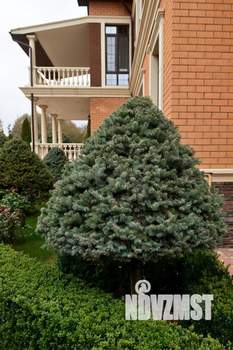 Дом 460м&sup2;, 3-этажный, участок 22 сот.  