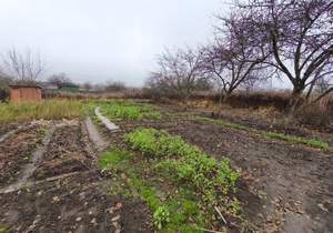 Дом 50м², 2-этажный, участок 6 сот.  