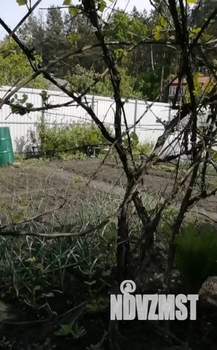 Дом 58м&sup2;, 2-этажный, участок 7 сот.  