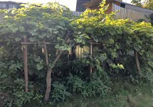 Дом 18м&sup2;, 2-этажный, участок 6 сот.  