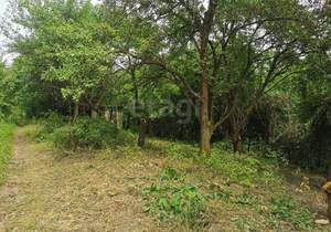 Дом 10м&sup2;, 2-этажный, участок 10 сот.  