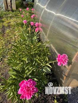 Дом 25м&sup2;, 1-этажный, участок 6 сот.  