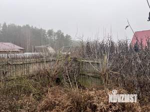 Дом 50м², 1-этажный, участок 10 сот.  