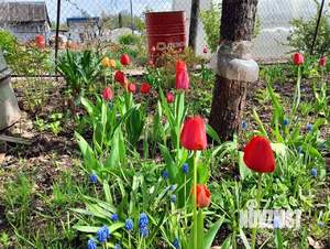 Дом 25м&sup2;, 1-этажный, участок 6 сот.  