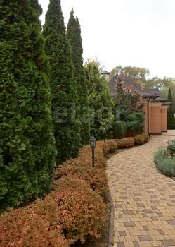 Дом 460м&sup2;, 3-этажный, участок 22 сот.  