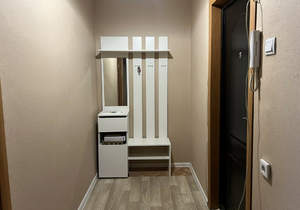 1-к квартира, на длительный срок, 43м2, 5/10 этаж