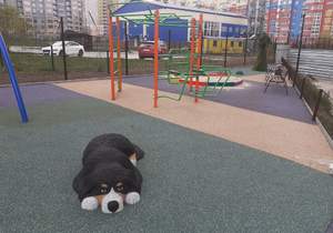 1-к квартира, на длительный срок, 46м2, 5/9 этаж