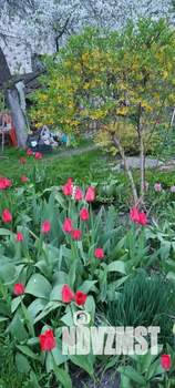 3-к квартира, вторичка, 64м2, 2/2 этаж