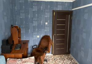 3-к квартира, вторичка, 63м2, 4/5 этаж